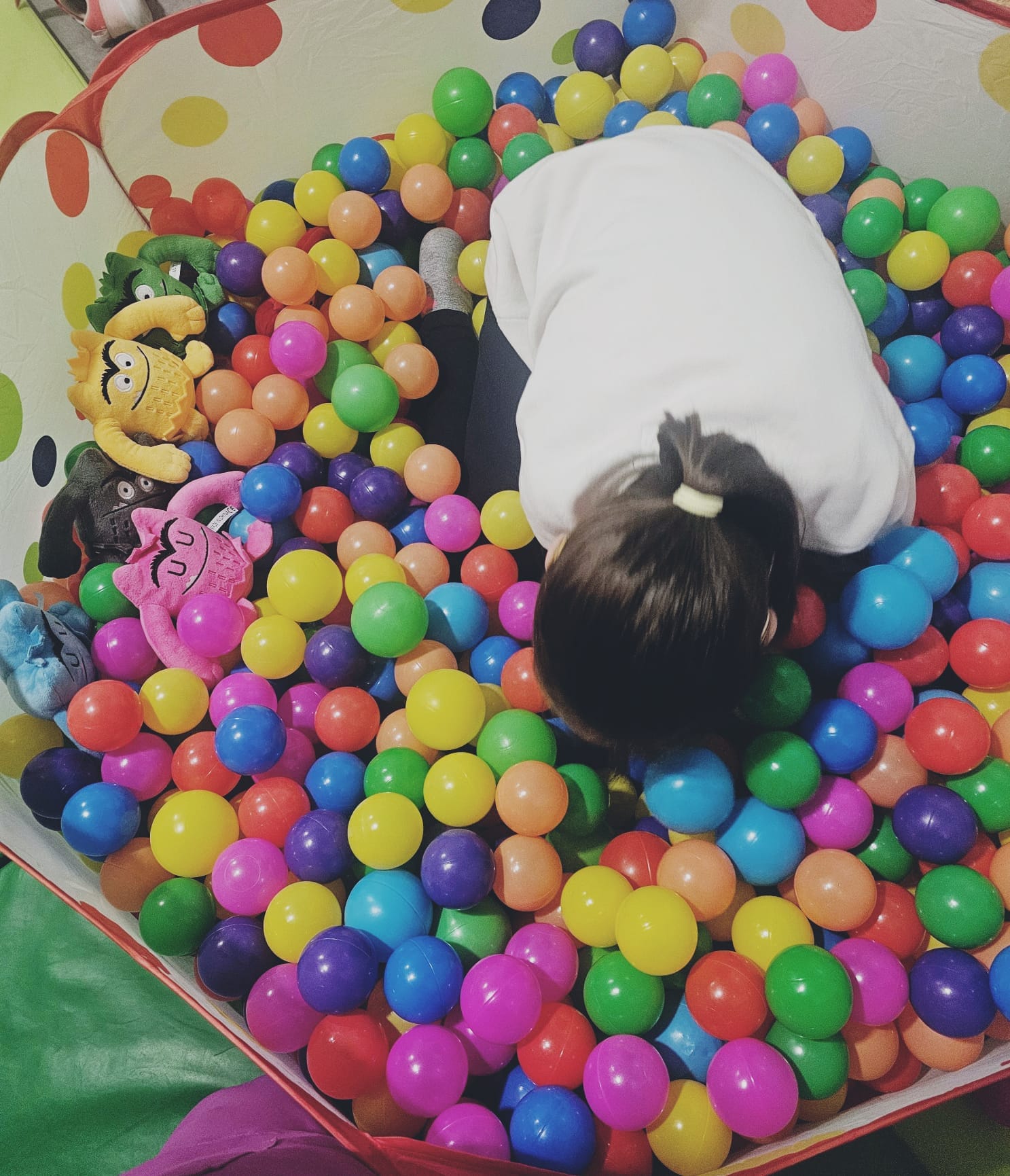 Gerontogimnasia en grupo